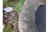 У луцькому парку невідомі викидають у канали ртутні лампи (фото)