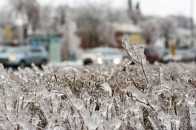 Завтра в Україну прийдуть перші морози