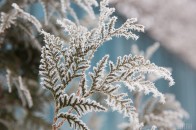 До -8°: синоптики попередили про похолодання в Україні