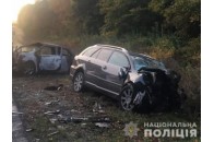 Поліція розшукує свідків автотрощі біля Забороля, у якій згорів автомобіль (відео)