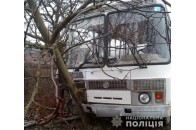 На Волині шкільний автобус з дітьми злетів з дороги і в'їхав у паркан
