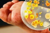 Українців попереджають про спалах небезпечного вірусу, від якого не існує вакцини