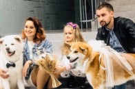 Замість гостей – собаки: молодята з Волині оригінально відсвяткували своє весілля (відео)