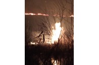 На Волині біля водойми виникла масштабна пожежа (фото)