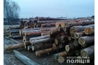 На Волині викрили крадіїв лісу та вилучили у них сумнівну лісодеревину