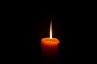 Головні новини Волині 2 грудня: волинський ветеран АТО загинув у страшній аварії; браконьєри жорстоко розстріляли 7 ланей у вольєрі