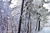 8 грудня – яке сьогодні свято: традиції, заборони і прикмети