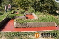 Волинська птахофабрика колишнього регіонала Добкіна судиться з Держпродспоживслужбою