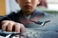 Як захистити дитину в інтернеті: небезпеки та як їх уникнути