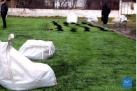 На Волині завершується ремонт спортмайданчика з штучним покриттям