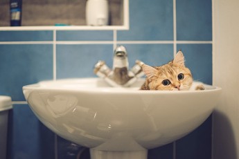 У Луцьку два дні не буде водопостачання