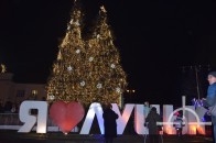 Стала відома доля ялинок на Театральному майдані Луцька