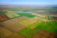 Українцям виплачуватимуть гроші за відмову від земельних паїв: скільки дадуть на руки