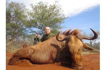 За 200 тисяч доларів: Мережу шокували фото Шуфрича із сафарі на рідкісних тварин в Африці