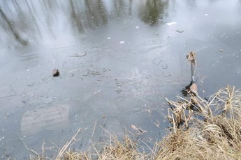 У Центральному парку Луцька вандали понищили лавки та смітники у новорічну ніч (фото)