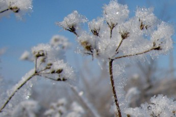 Без снігу, але з морозами: синоптики прогнозують аномальну зиму