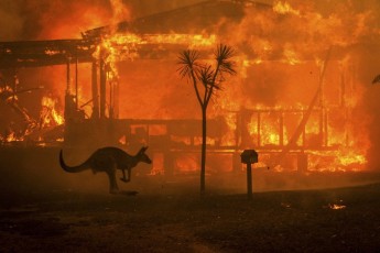 Смертоносні пожежі в Австралії тривають: фото, які вражають