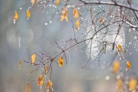 Прикмети та свята 24 січня: чого категорично не можна робити у цей день