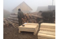 На Волині розпочали боротьбу з незаконним пилорамним бізнесом