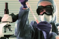 Вчені визначили звідки пішов смертоносний коронавірус