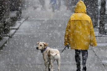 На Україну насувається потужний циклон з мокрим снігом та шквальним вітром