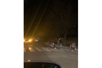 На Волині водій на пішохідному переході збив людину (фото)