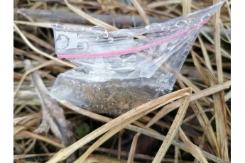 У парку Луцьку знайшли більше 20 пакетиків з наркотиками (фото)