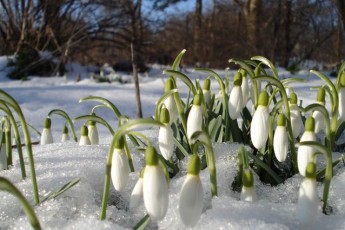 В Україну нагрянуть морози і сніг: синоптики назвали дату