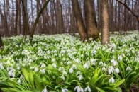 16 березня – яке сьогодні свято: традиції, заборони і прикмети