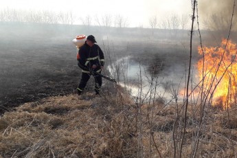 На Волині вогонь знищив 26 гектарів сухої трави