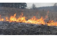 Палив суху траву: на Волині у лісі знайшли обгоріле тіло чоловіка