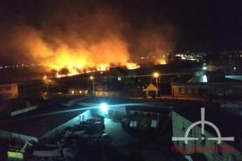 У Луцьку – пожежа на березі Стиру, вогонь підбирається до будинків (фото/відео)