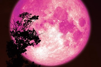 Вночі українці спостерігатимуть рожевий супермісяць: о котрій дивитися в небо