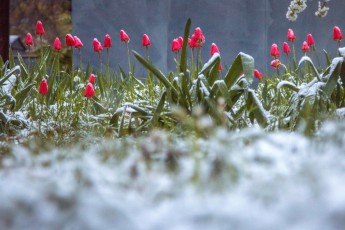 Зима повертається – іде мороз зі снігом: в Україні різко зміниться погода