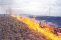 Верховна Рада у 18 разів збільшила штрафи для паліїв сухої трави