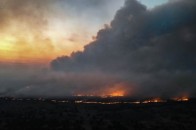 Зеленський відреагував на пожежі в Чорнобилі (відео)