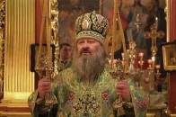 До 195 тисяч євро: підрахували, скільки коштують 
