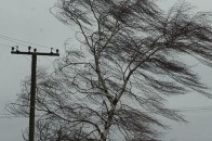 Волинян попереджають про пориви вітру та погану видимість на дорогах