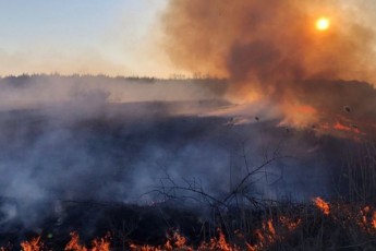 До ліквідації лісових пожеж долучать важку техніку ЗСУ