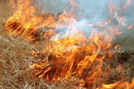 На Волині за минулу добу виникло сім пожеж в екосистемах
