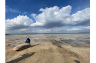 Світязь продовжує міліти і стає схожим на пустелю (фото)