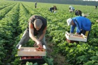 У Польщі підготували нові пропозиції для працівників з України