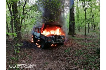 Посеред лісу на Волині знову спалили 