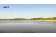 У водоймах на Волині масово гине риба (відео)
