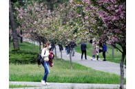 МОЗ оприлюднило правила відвідування парків та перукарень після послаблення карантину