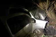 Залишилося двоє діток: стали відомі імена загиблих волинян у моторошній ДТП на Львівщині (фото)