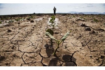 Синоптики прогнозують в Україні влітку велику посуху, а у частині Європи – повені