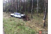 На Волині автомобіль влетів у дерево, є постраждалі (фото)