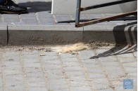 Ломом у голову та відрізане волосся: на Волині сталась масова бійка (фото, відео)