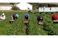 Україна хоче укласти угоду з Польщею щодо заробітчан